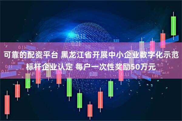 可靠的配资平台 黑龙江省开展中小企业数字化示范标杆企业认定 每户一次性奖励50万元
