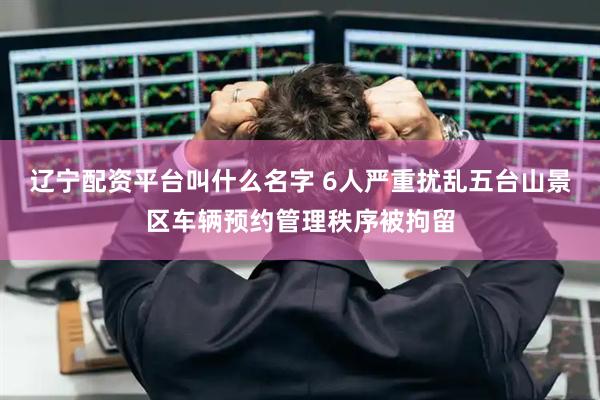辽宁配资平台叫什么名字 6人严重扰乱五台山景区车辆预约管理秩序被拘留