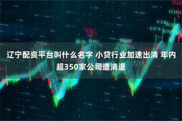 辽宁配资平台叫什么名字 小贷行业加速出清 年内超350家公司遭清退