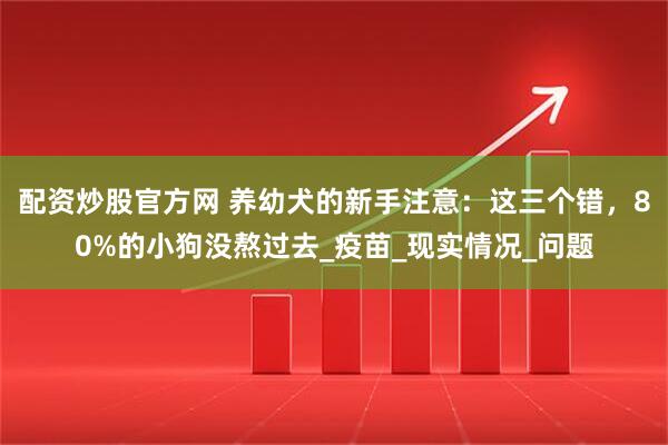 配资炒股官方网 养幼犬的新手注意：这三个错，80%的小狗没熬过去_疫苗_现实情况_问题