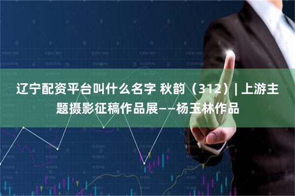 辽宁配资平台叫什么名字 秋韵（312）| 上游主题摄影征稿作品展——杨玉林作品