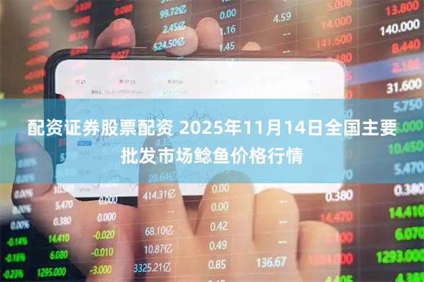 配资证券股票配资 2025年11月14日全国主要批发市场鲶鱼价格行情